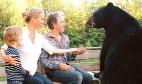 Medvědí rodina a já